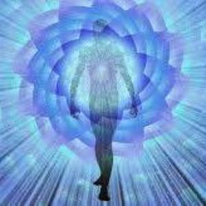 Meet your Posher, Tom